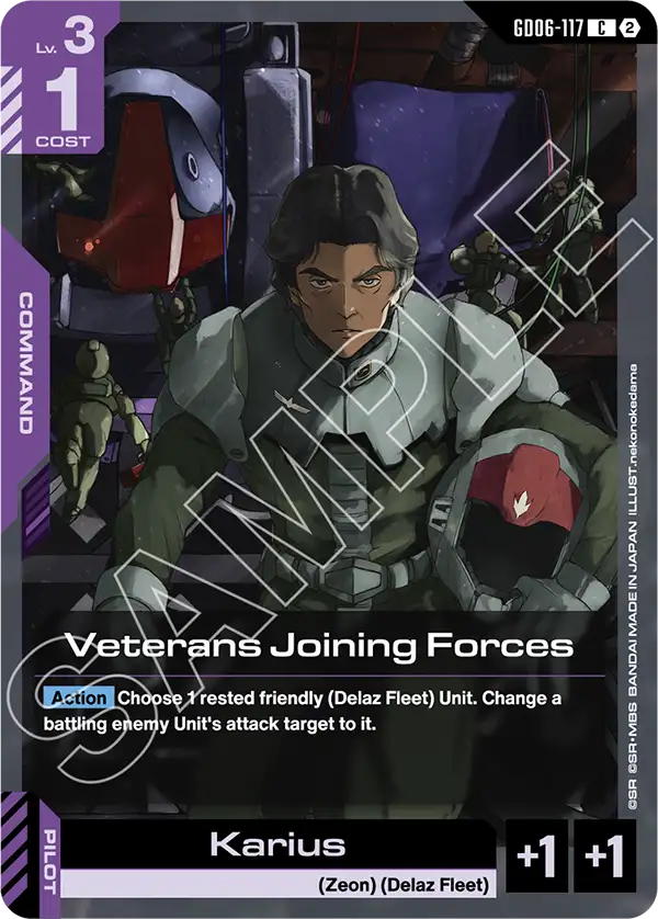 Veterans Joining Forces, Stardust Trails · GD06-117