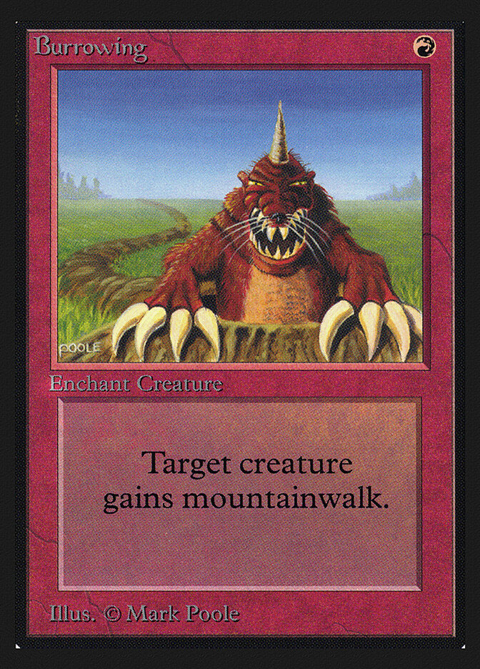 Burrowing, Intl. Collectors' Edition · 139