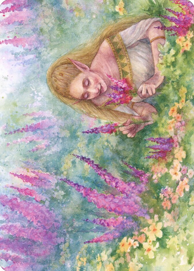 Abundant Harvest // Abundant Harvest, Modern Horizons 2 Art Series · 037