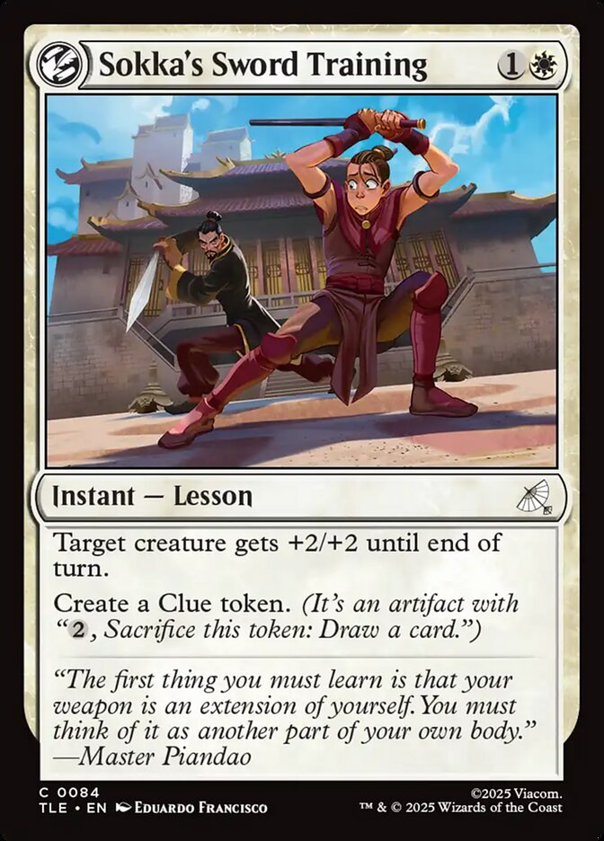 Sokka's Sword Training, Avatar: The Last Airbender Eternal · 0084