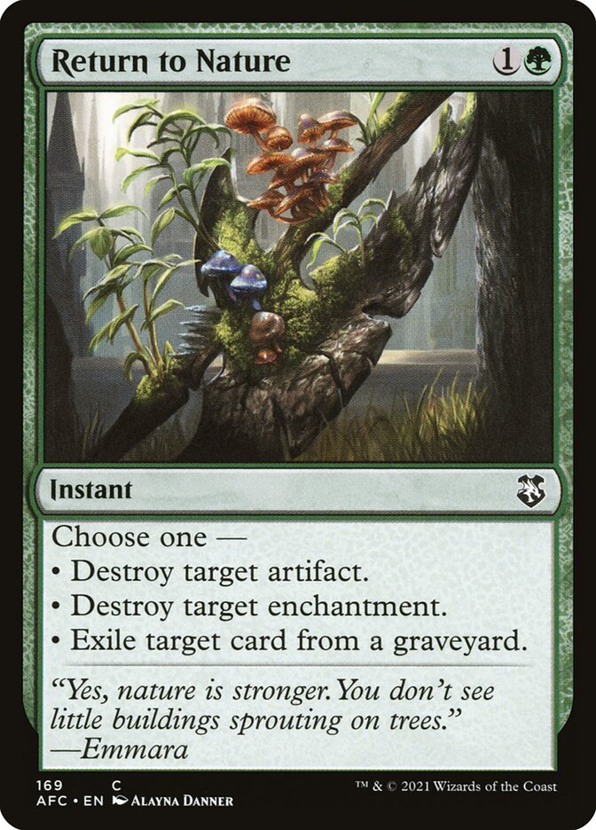 Return to Nature, Forgotten Realms Commander · 169