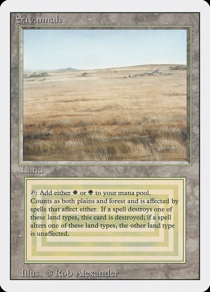 Savannah, Revised Edition · 285