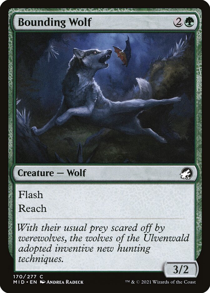 Bounding Wolf, Innistrad: Midnight Hunt · 170/277