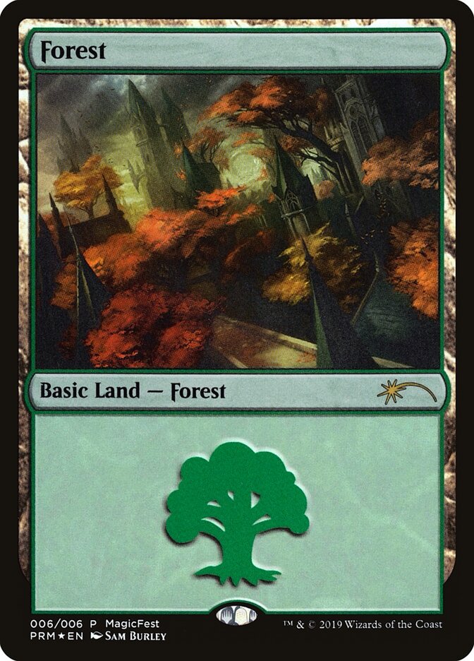 Forest, MagicFest 2019 · 006/006