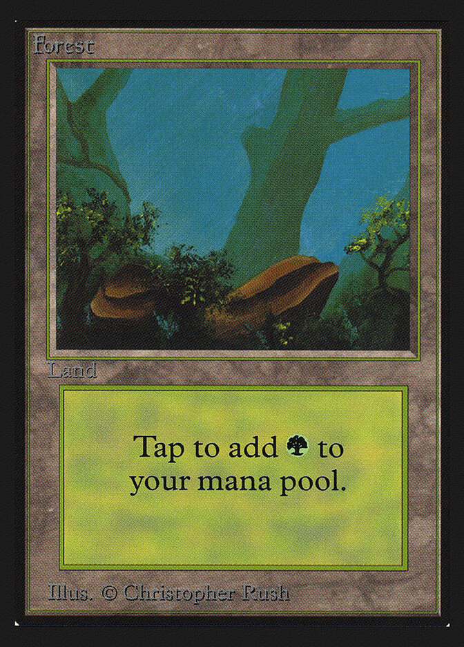 Forest, Intl. Collectors' Edition · 300