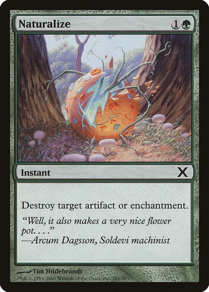 Naturalize, Tenth Edition · 282/383
