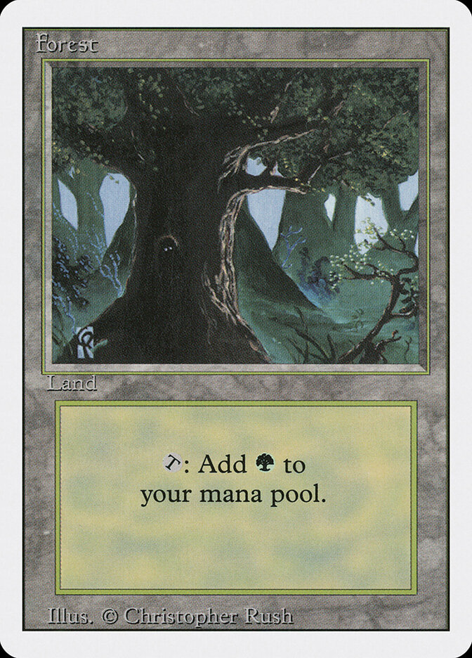 Forest, Revised Edition · 306