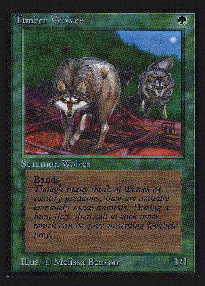 Timber Wolves, Collectors' Edition · 220