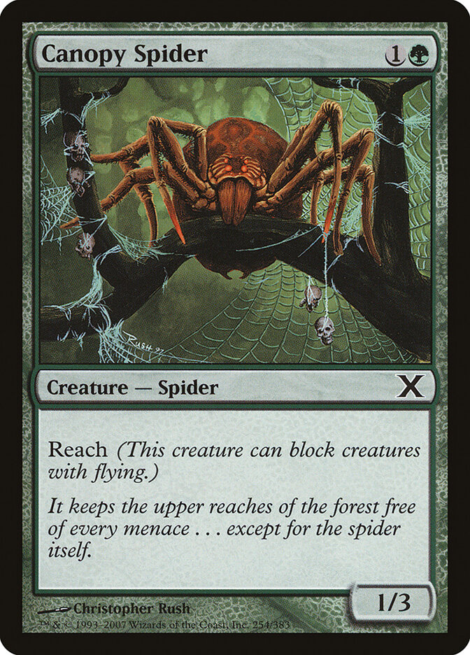 Canopy Spider, Tenth Edition · 254/383