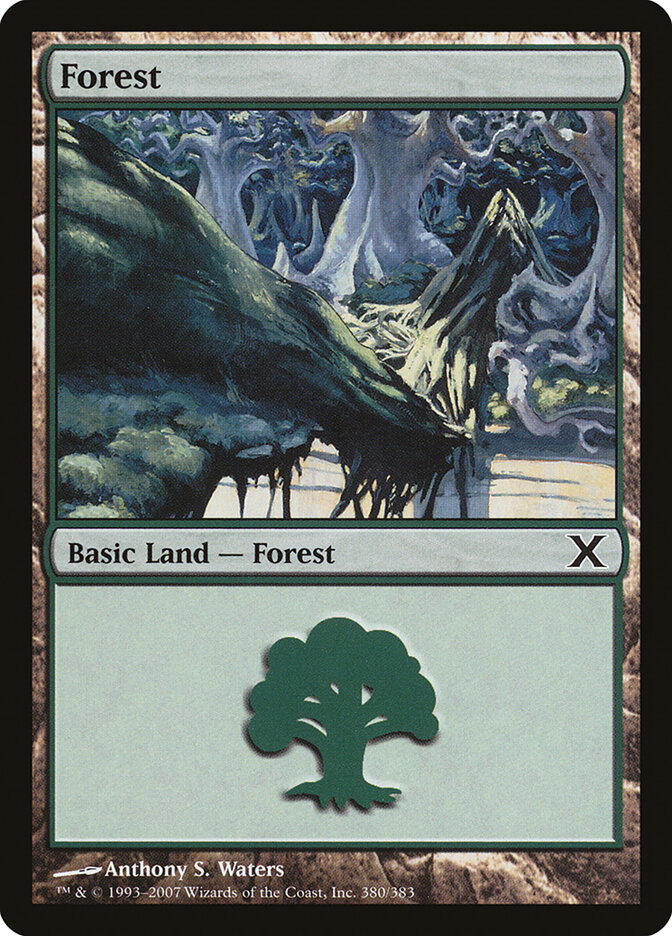 Forest, Tenth Edition · 380/383