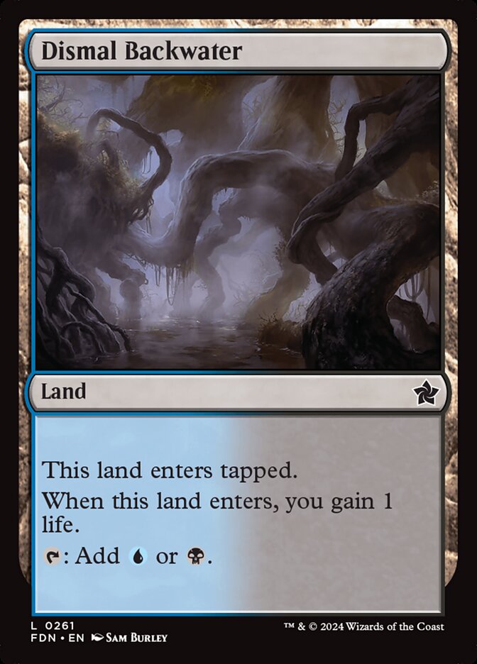Dismal Backwater, Foundations · 0261