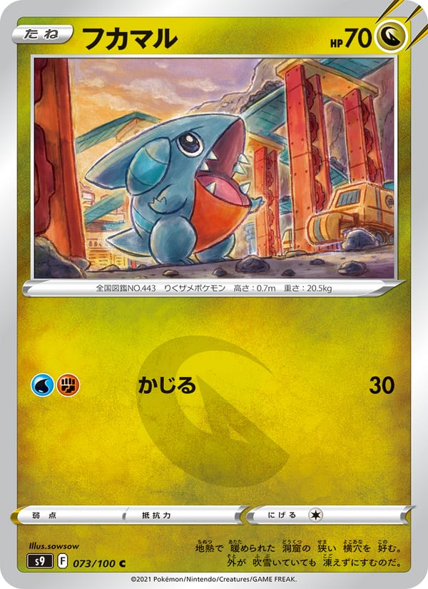 Gible, S9: Star Birth · 073/100