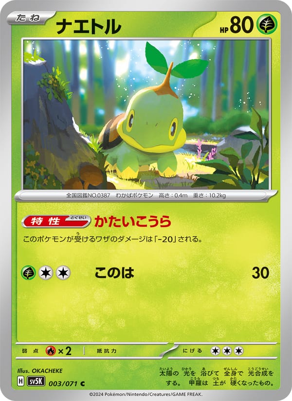 Turtwig, SV5K: Wild Force · 003/071