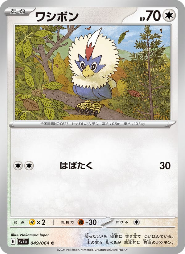Rufflet, SV7a: Paradise Dragona · 049/064