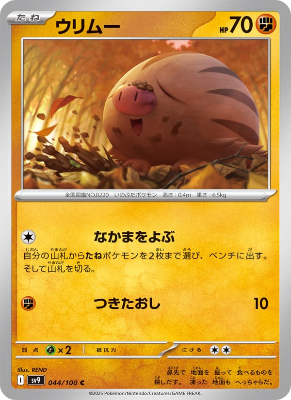 Swinub, SV9: Battle Partners · 044/100