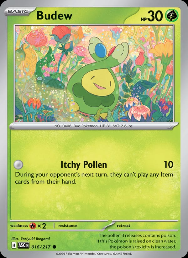Budew, ME: Ascended Heroes · 016/217