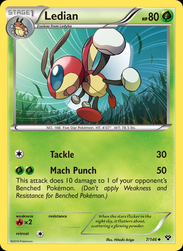 Ledian, XY Base Set · 7/146
