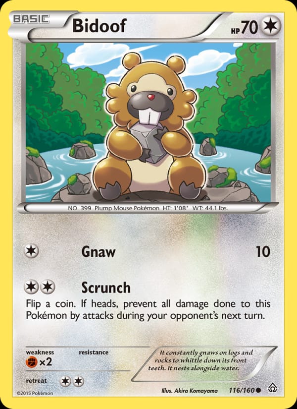 Bidoof, XY - Primal Clash · 116/160