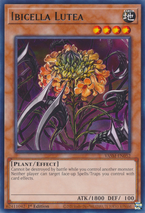 Ibicella Lutea, Valiant Smashers · VASM-EN052