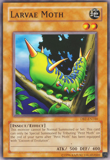 Larvae Moth, Dark Beginning 1 · DB1-EN144