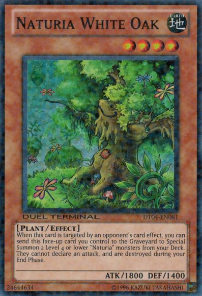 Naturia White Oak, Duel Terminal 4 · DT04-EN081