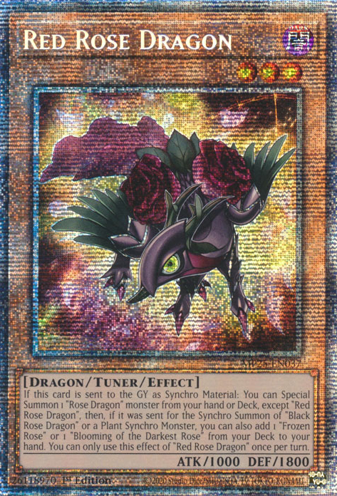 Red Rose Dragon, 2025 Mega-Pack Tin · MP25-EN037