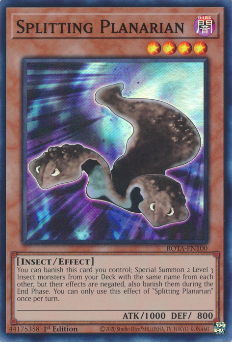 Splitting Planarian, Rage of the Abyss · ROTA-EN100
